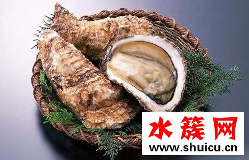 生蠔屬于干垃圾嗎