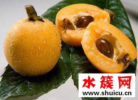 枇杷核能吃嗎