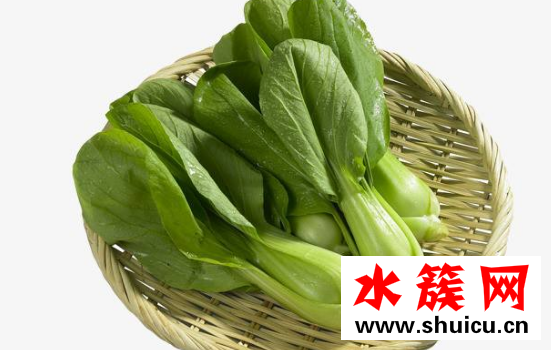 上海青的熱量