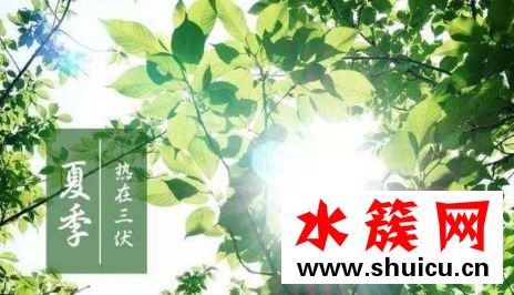 2019三伏天從什么時候開始