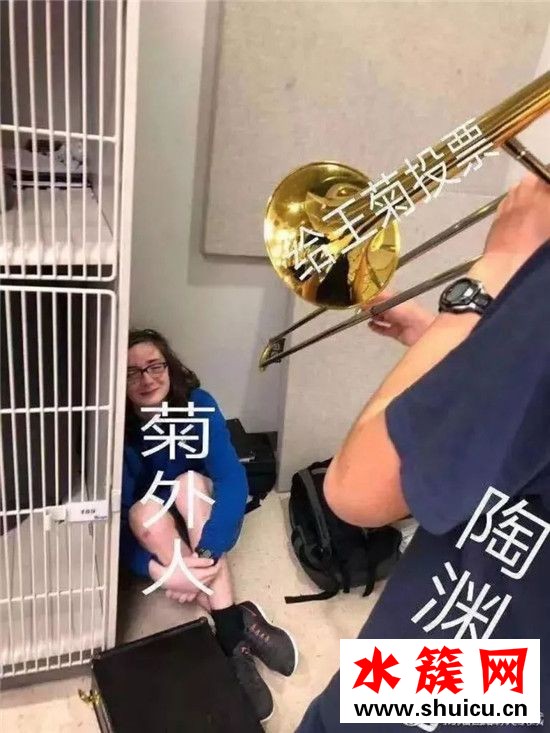 王菊為什么突然紅了