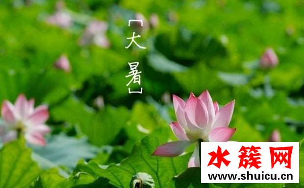 2019大暑幾天