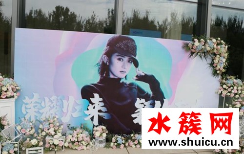 趙麗穎復工