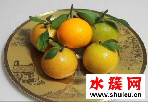 皇帝柑有籽嗎
