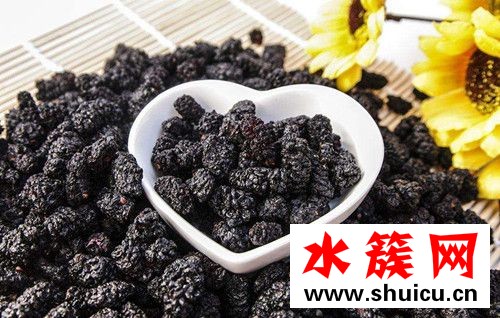 桑葚干泡水會上火嗎