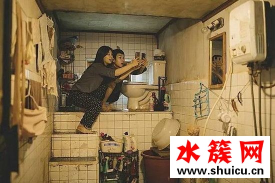 寄生蟲電影講了什么劇情