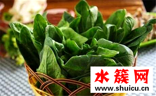 缺鋅補鋅的食物都有哪些