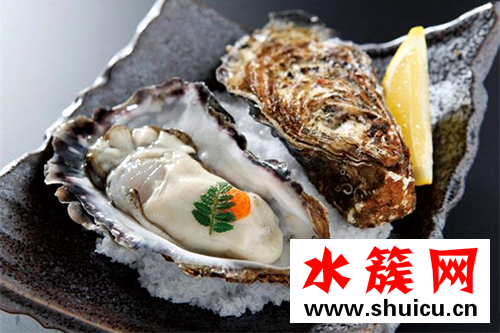 缺鋅補鋅的食物都有哪些