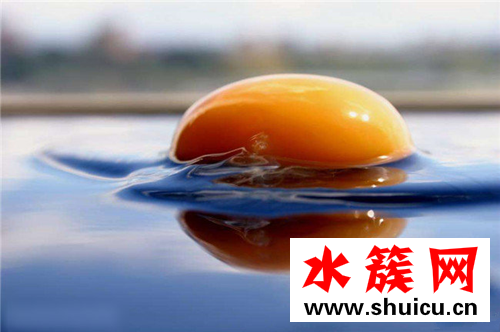 缺鋅補鋅的食物都有哪些