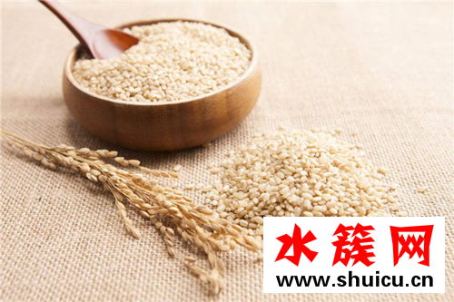 缺鋅補鋅的食物都有哪些