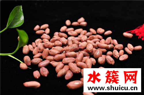 缺鋅補鋅的食物都有哪些