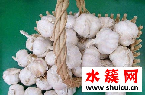 大蒜放枕頭下面的功效