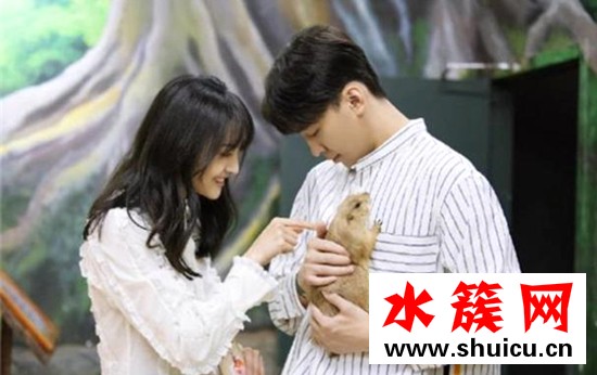 張恒鄭爽疑似分手