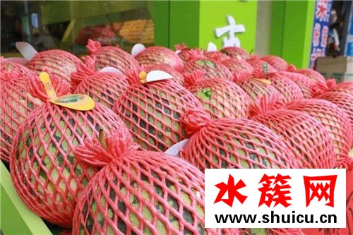 麒麟瓜好吃嗎